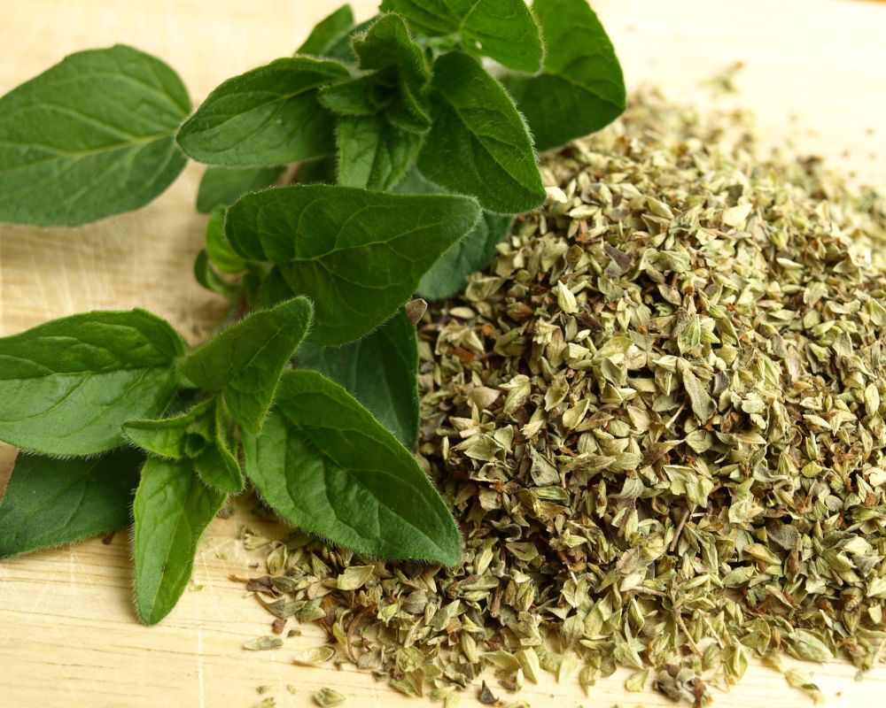 Oregano