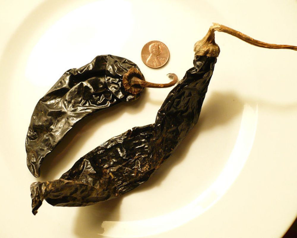 Pasilla peppers