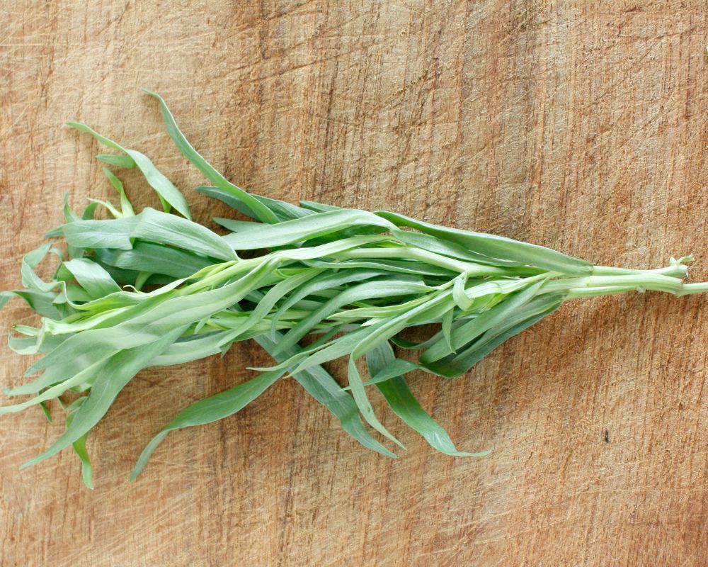 Tarragon