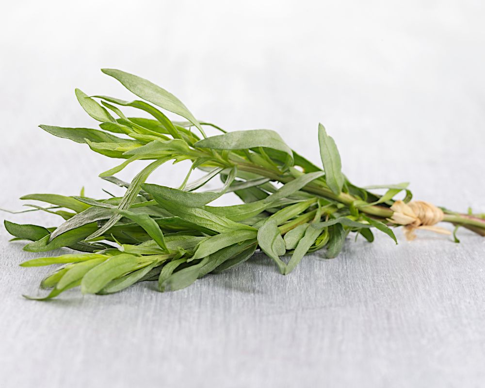 Tarragon