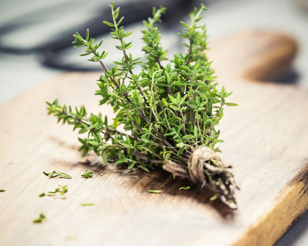 Thyme