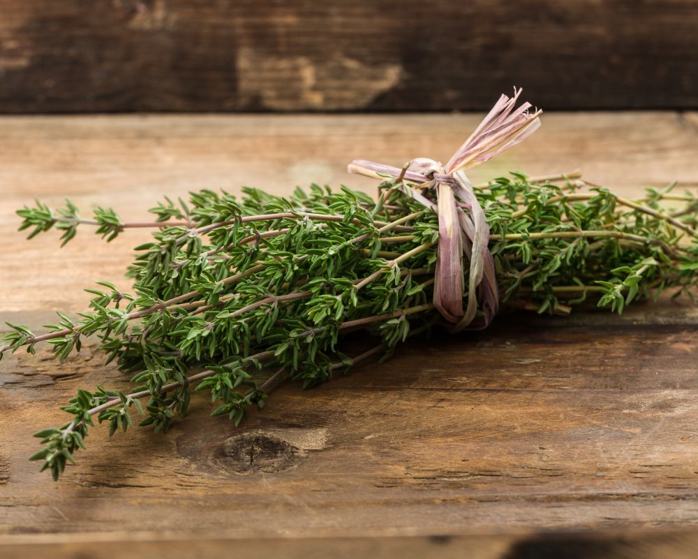 Thyme