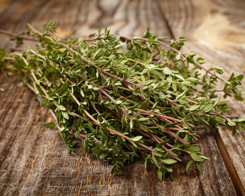 Thyme