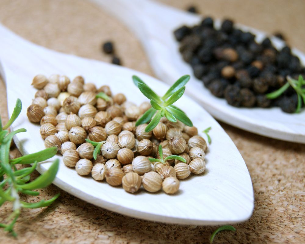 White or black peppercorns