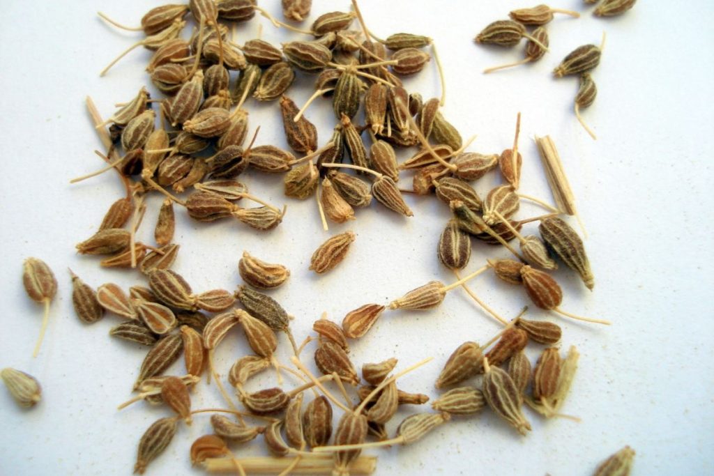 11 Ultimate Anise Substitute Spices To Test Out