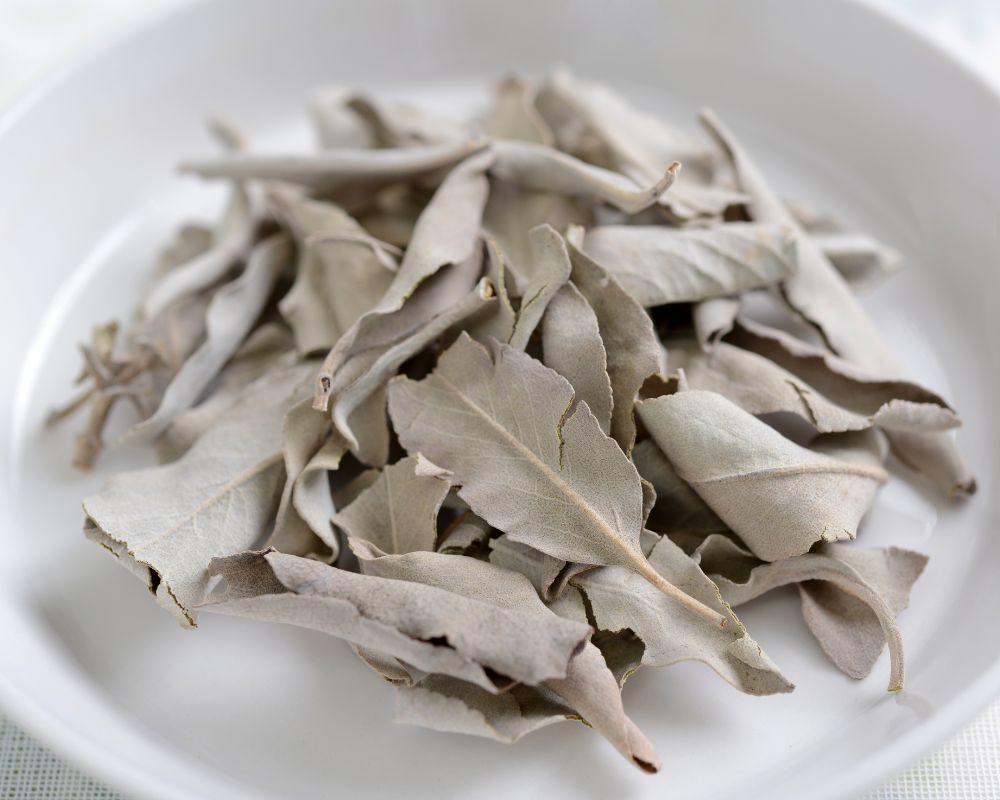 dried sage