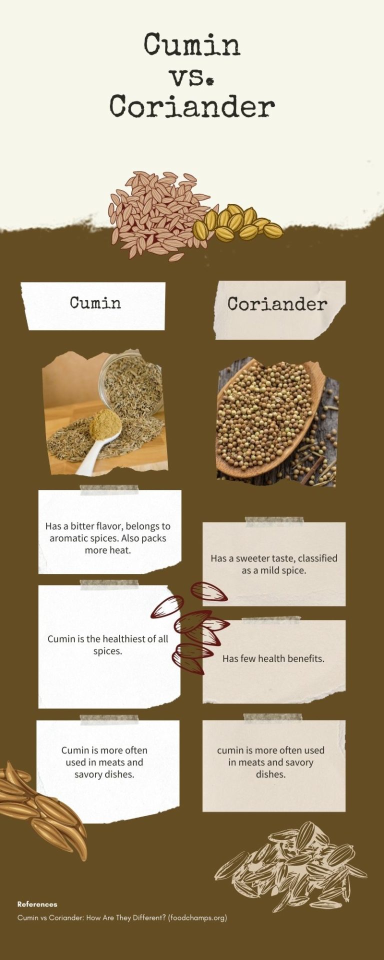 Simple Comparison Of Cumin Vs. Coriander (with Table)