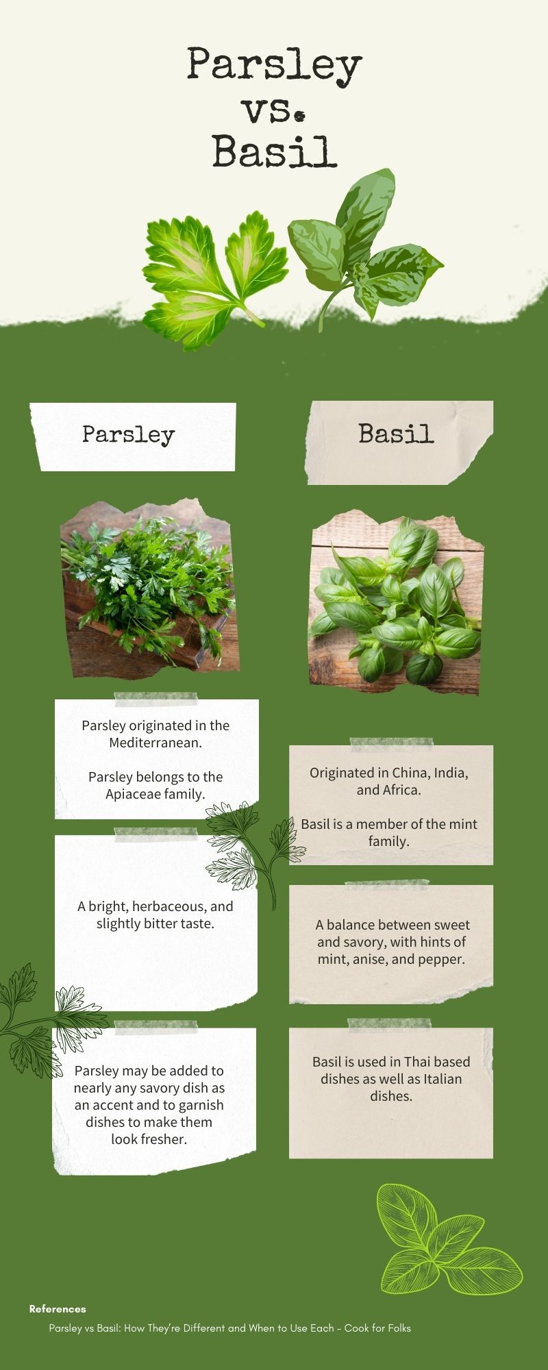 Parsley vs. basil