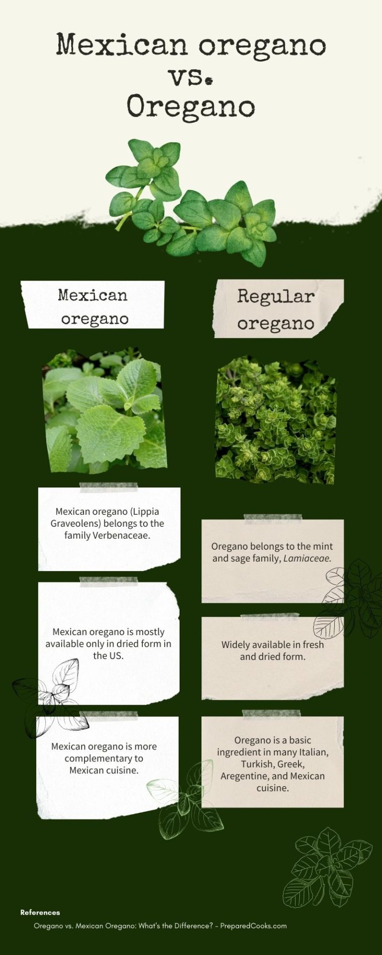 Learn More About Mexican Oregano Vs. Oregano