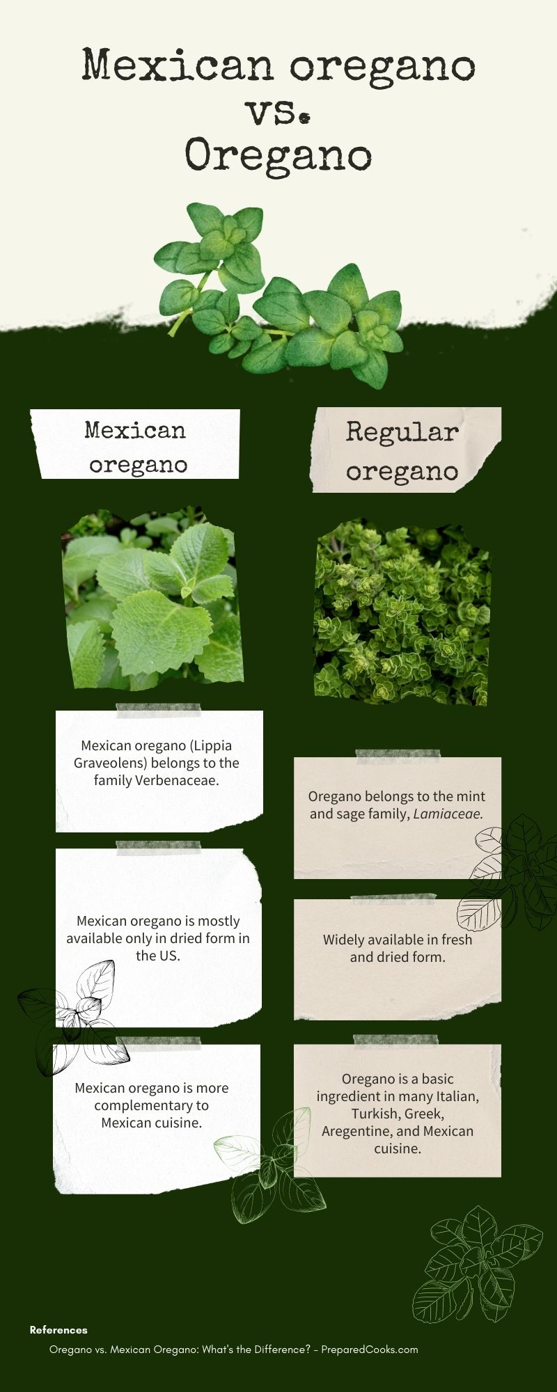 Mexican oregano vs oregano