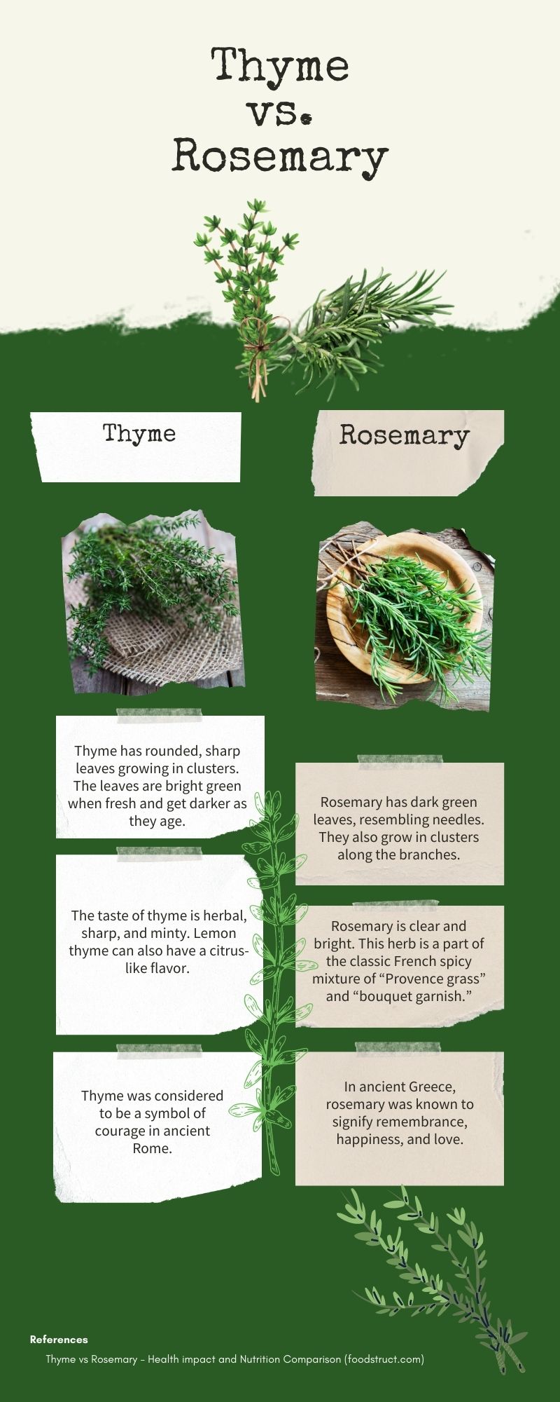 Thyme vs rosemary