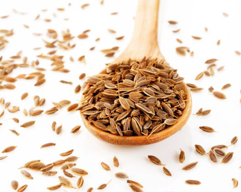 How To Use Ground Fennel 5 Recipe Ideas Spice Gourmand