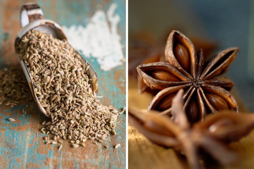 Anise Seed Vs. Star Anise Similarities And Differences