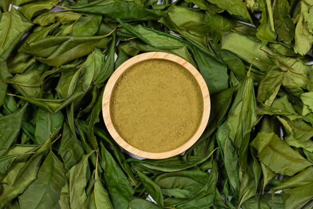 What Is Ground Bay Leaf Powder? Spice Gourmand