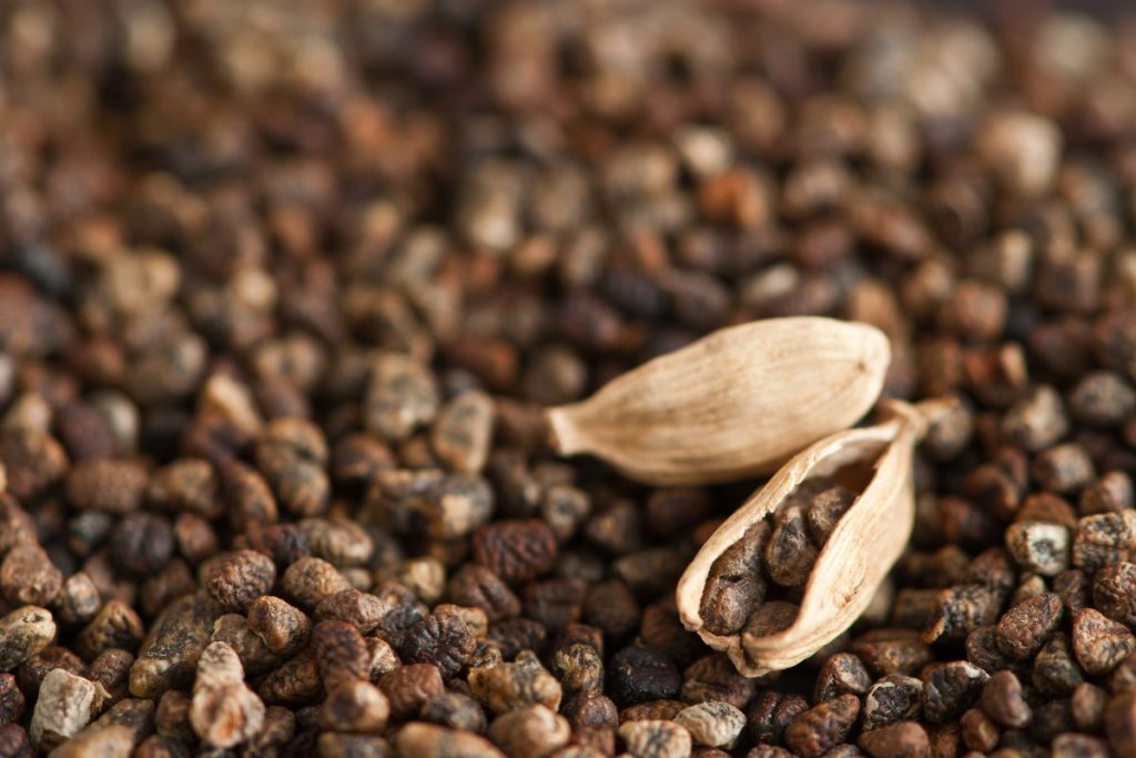 How To Use Chinese Black Cardamom (Best Recipes Included)