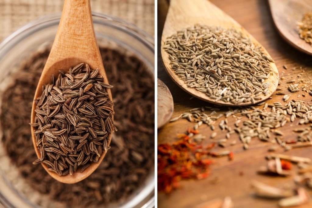 Caraway Vs. Cumin Sweet Vs. Smoky Flavor Spice Gourmand