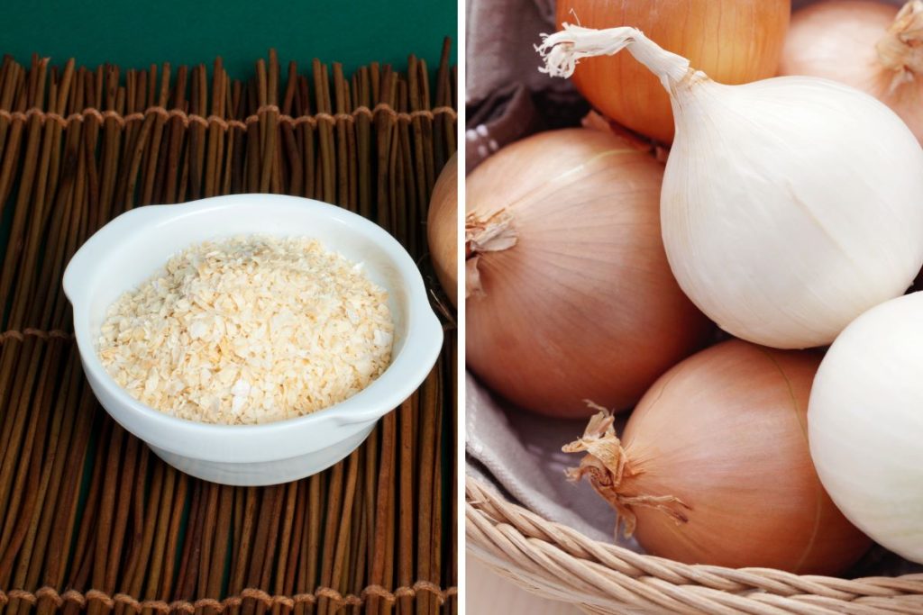Onion Powder Vs. Onion Which One To Use? Spice Gourmand