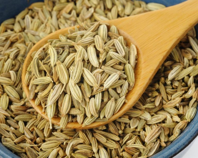 How To Use Ground Fennel 5 Recipe Ideas Spice Gourmand