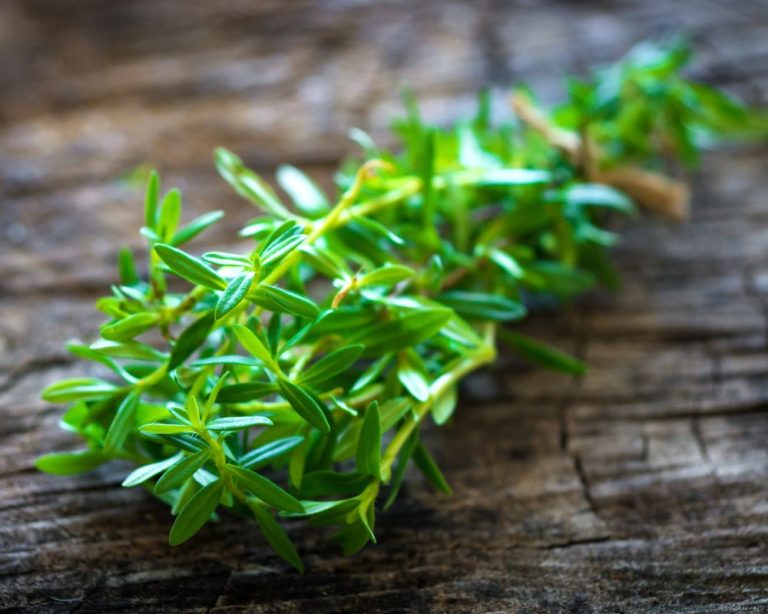 Dried Savory: A Staple In French And Italian Cuisines