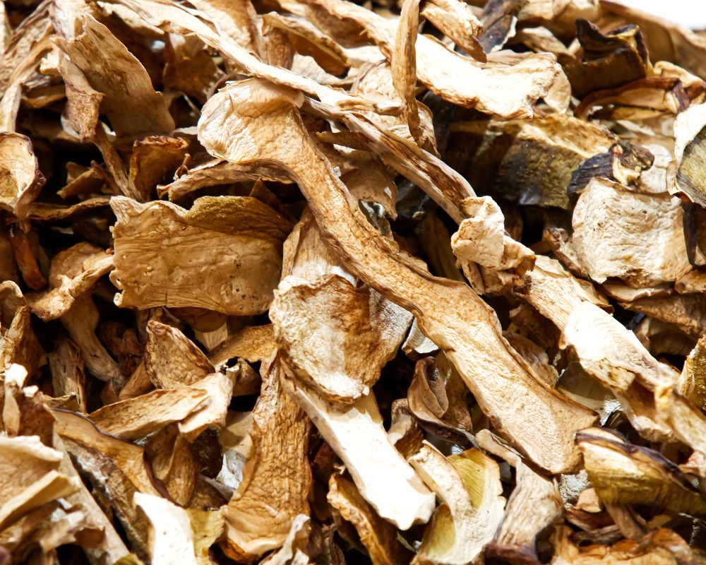 Dried mushrooms