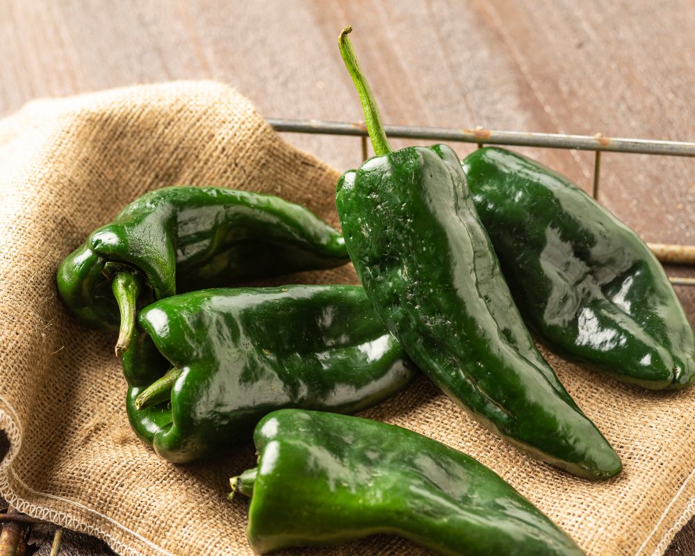 Ancho peppers come from poblano peppers