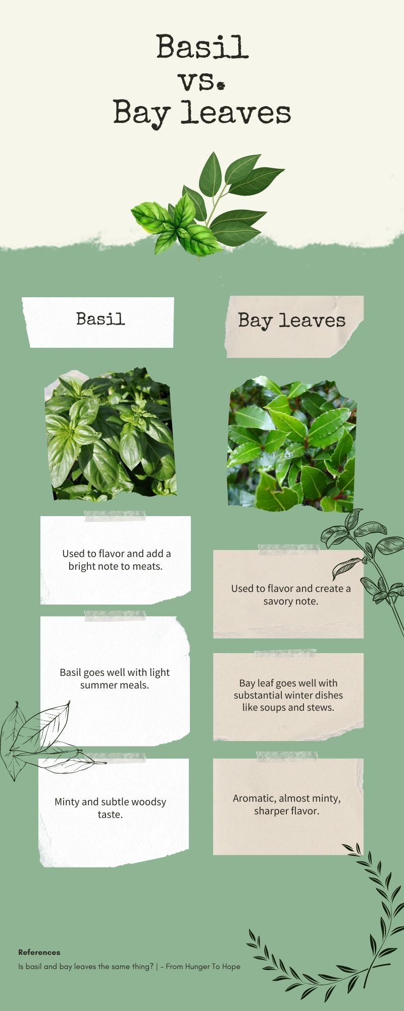 Basil vs. Bay leaves