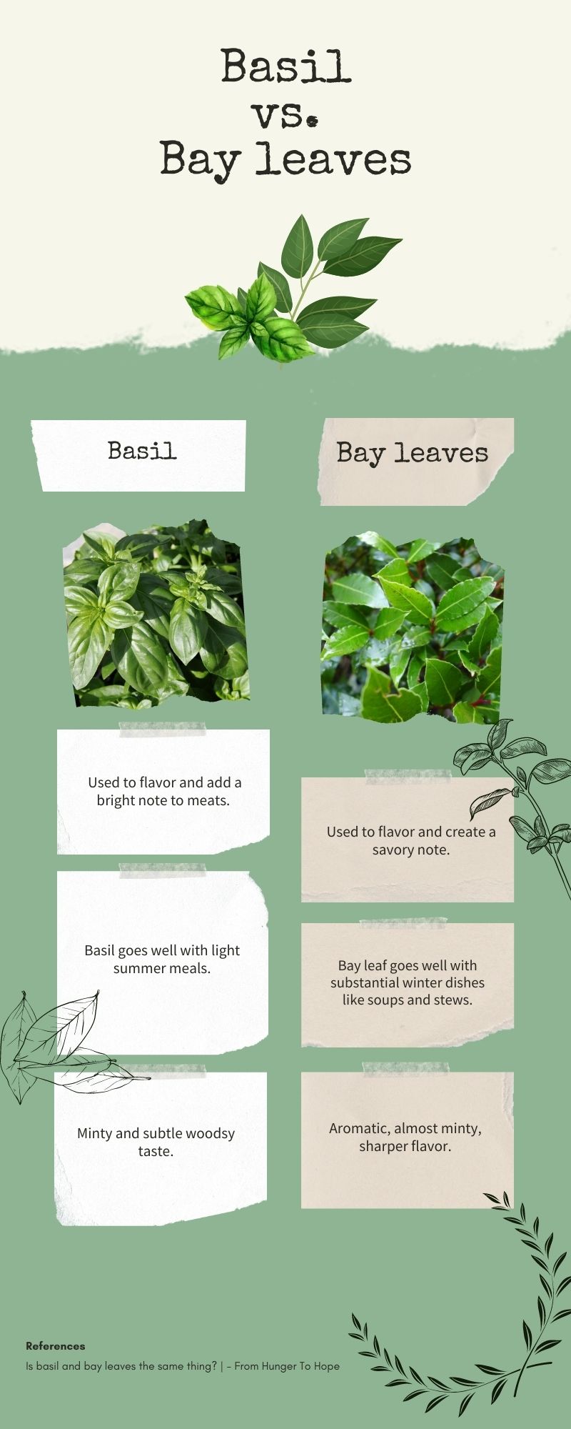 Is Bay Leaf Basil Spice Gourmand