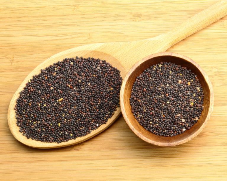 Black Mustard Seeds Recipes & FAQ Spice Gourmand