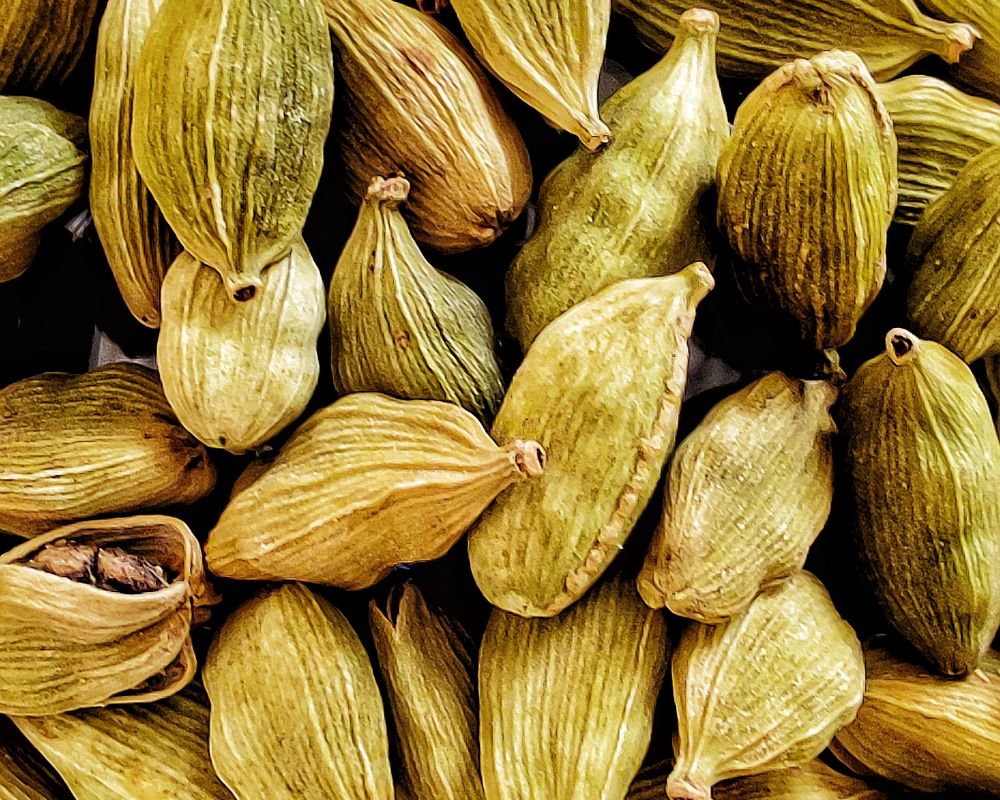 Cardamom