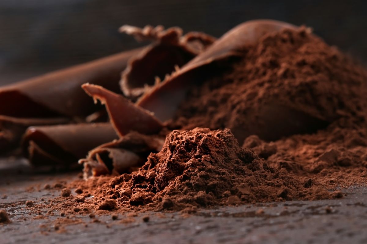 Cocoa powder bulk