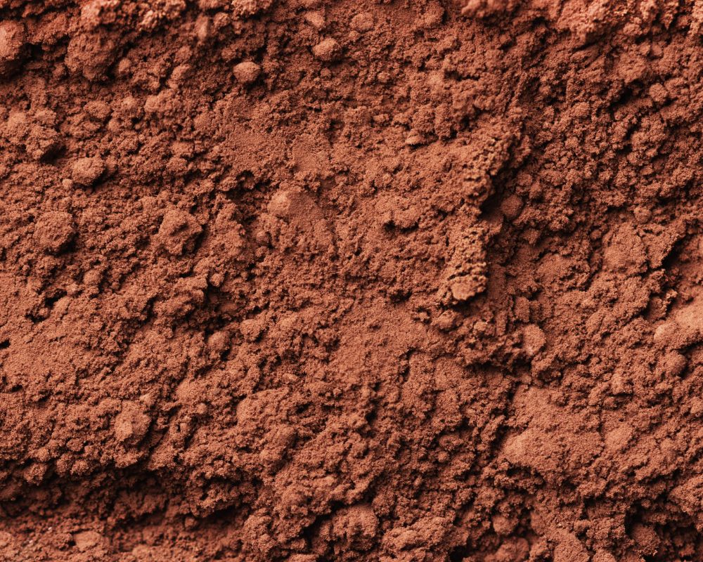 Cocoa powder