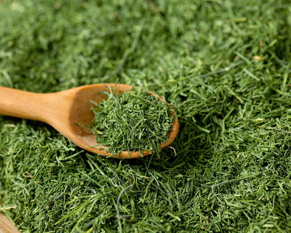 Dried dill