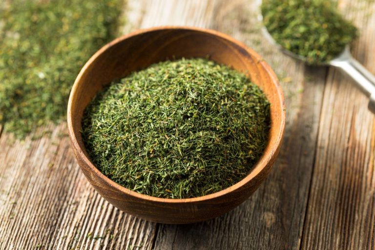 Dried Dill Vs Fresh Dill & Best Dill Substitutes