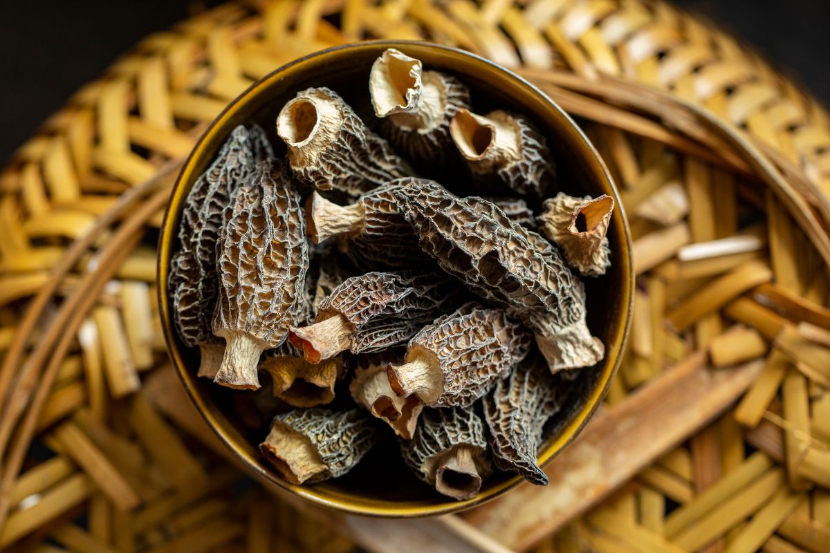 Dried morel mushrooms recipe