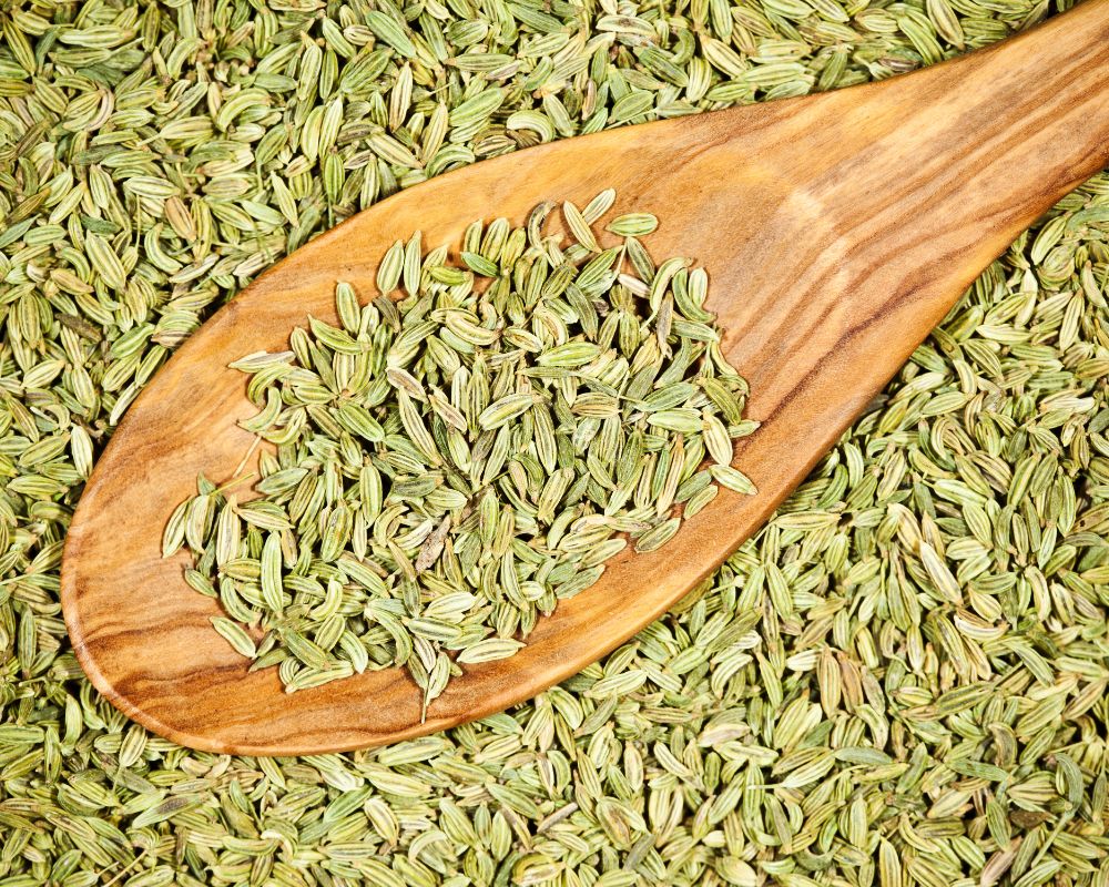 Fennel seeds