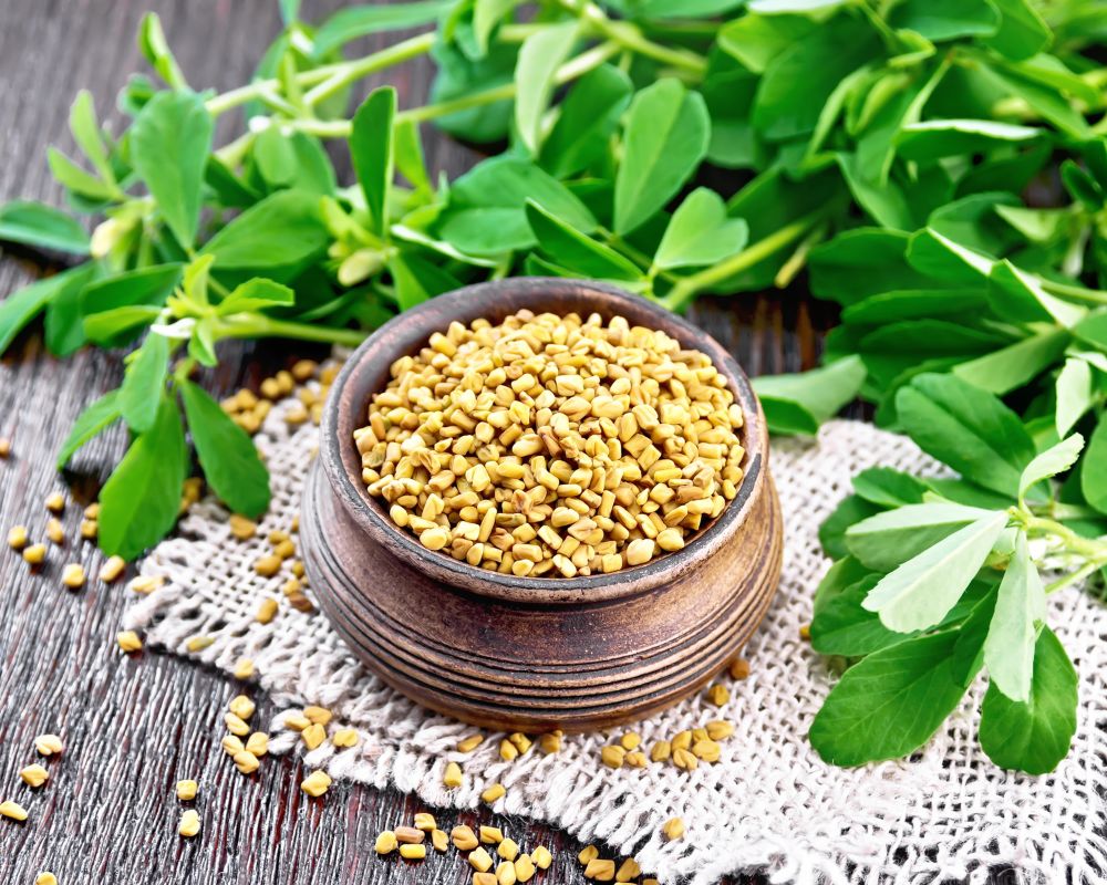 Fenugreek leaves and seeds