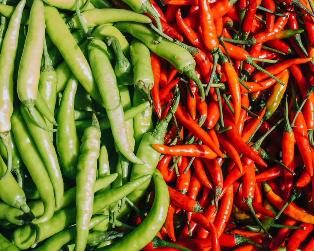 Green and red chili