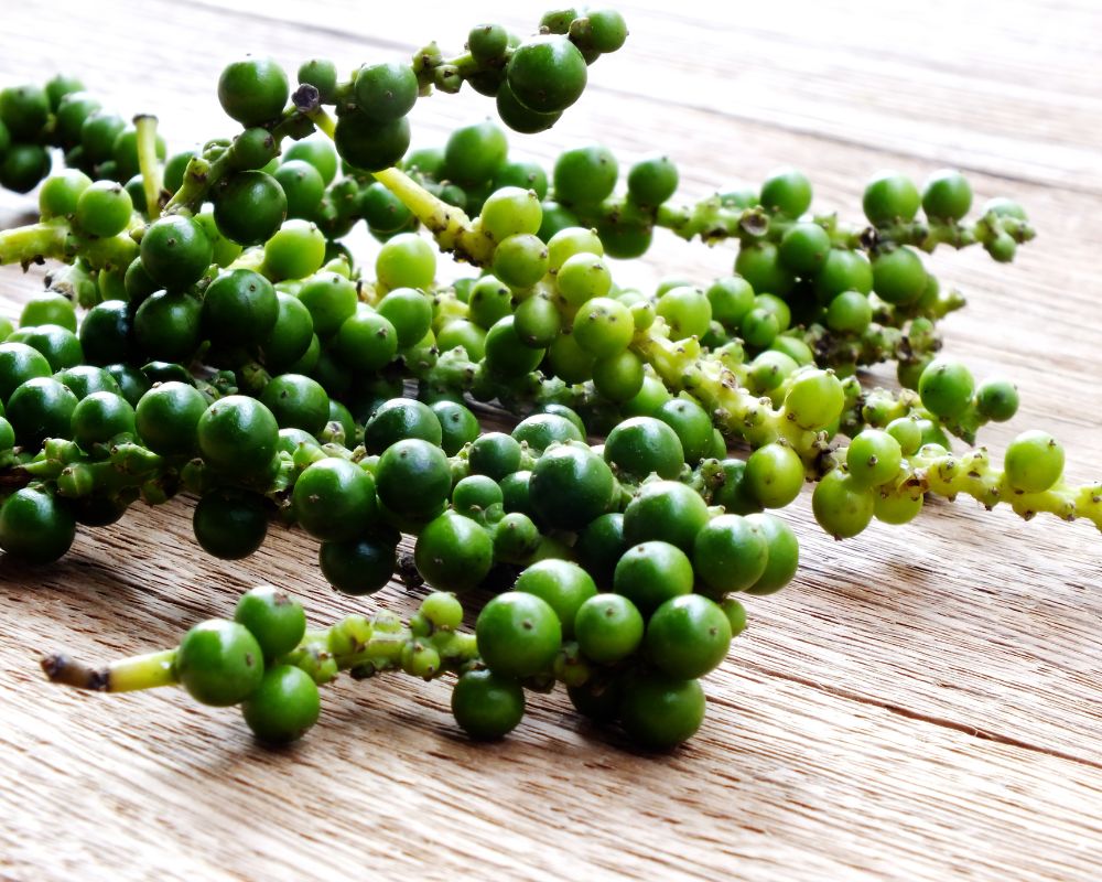 Green peppercorns