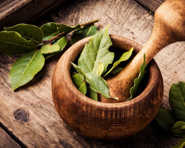 Ground Bay Leaf Uses & Recipes Spice Gourmand