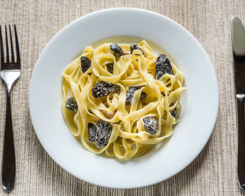 Morel mushrooms with pasta