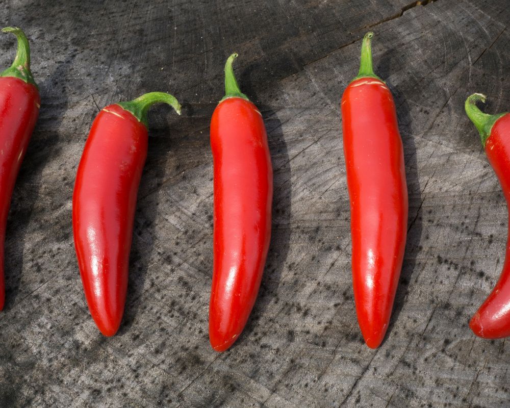 Red serrano peppers