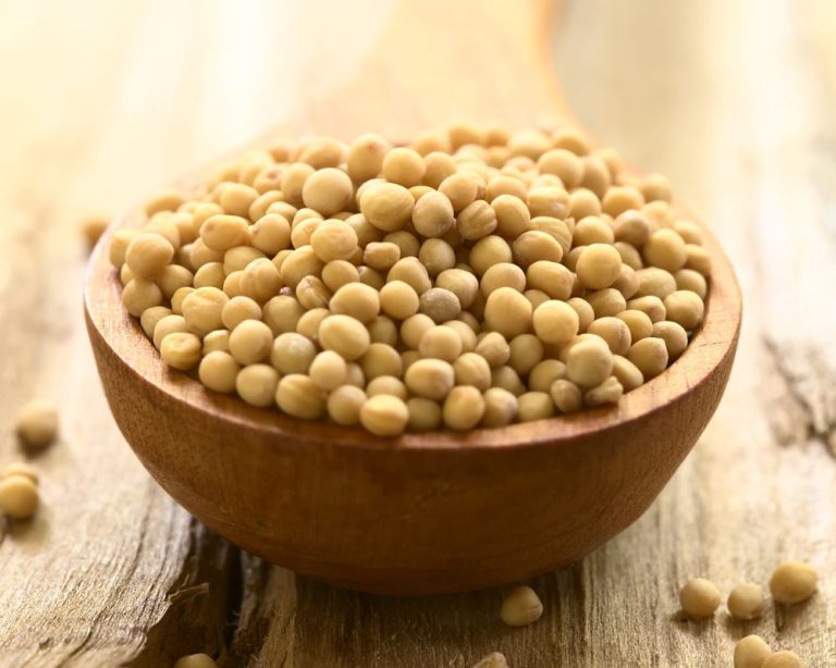 Black Mustard Seeds Recipes & FAQ Spice Gourmand